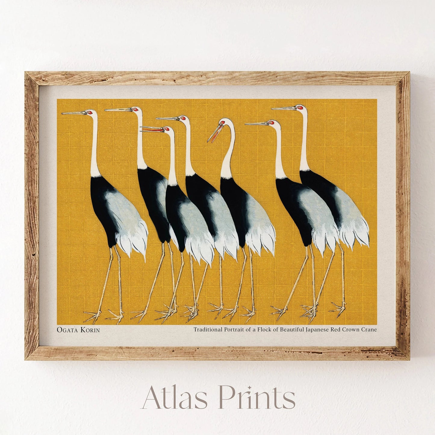 Retro Japanese Canvas Print